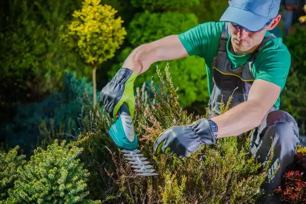 landscaping services Jeffersontown